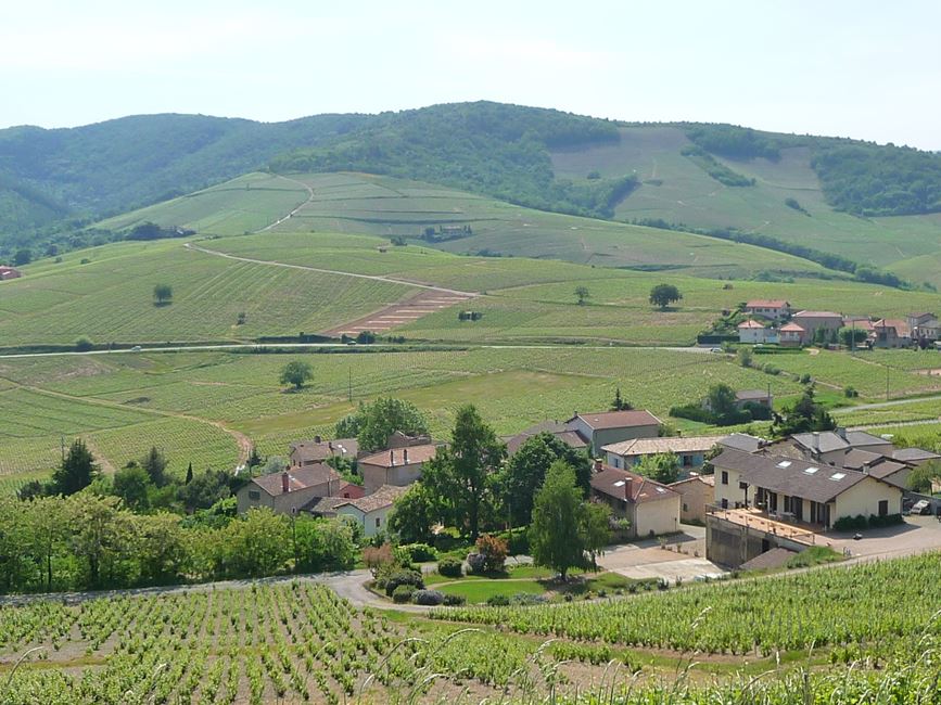 Paysage du Beaujolais