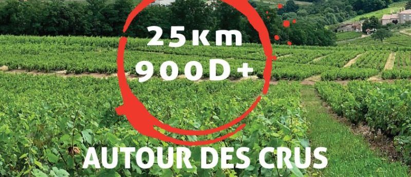 Autour des crus - Tour des crus Beaujolais 2023