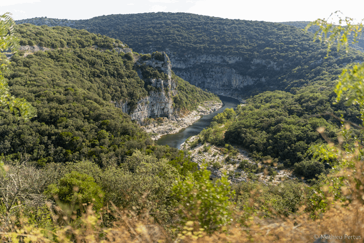 Gorges de l'Ardèche - vue de haut