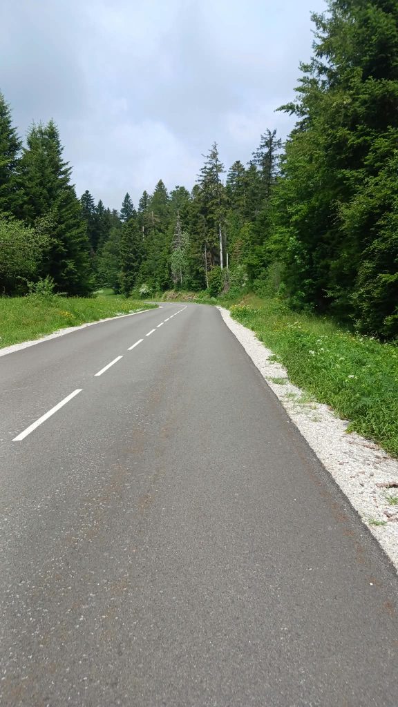 Cyclo Vache qui rit 2026 - en forêt