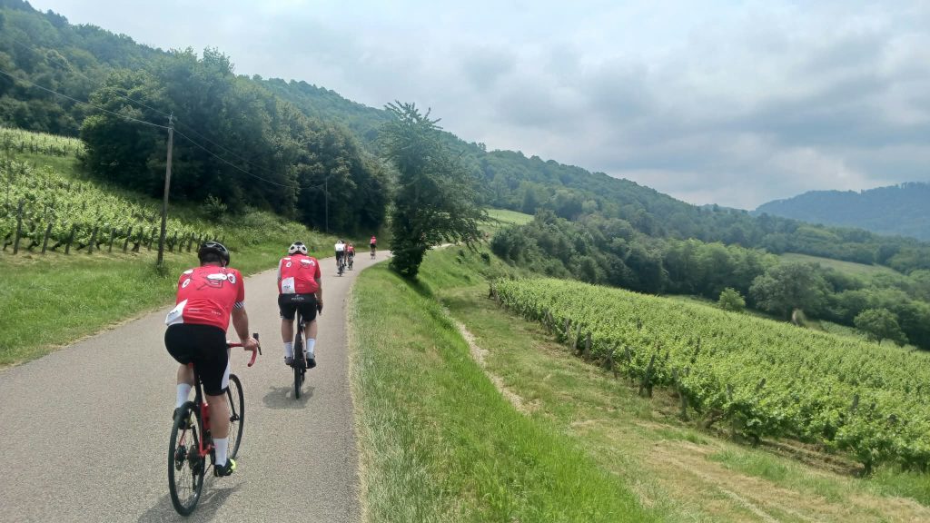 Cyclo Vache qui rit 2026 - route des vignobles du Jura